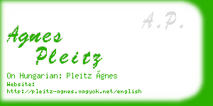 agnes pleitz business card
